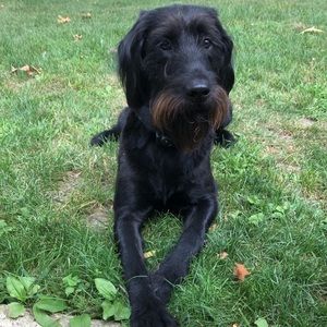 Meet your Posher, Charity